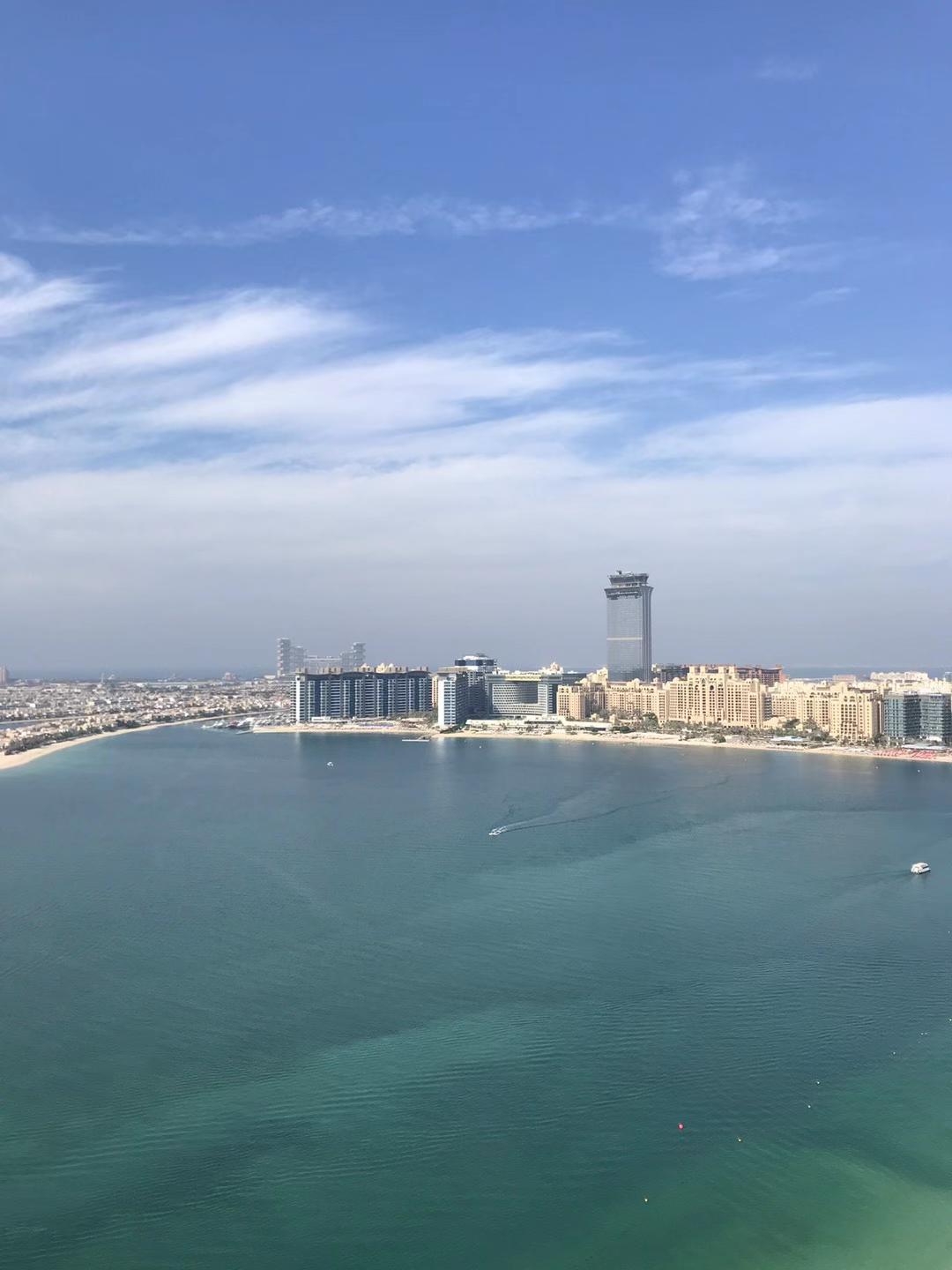 WhatsApp Image 2023-02-06 at 11.48.18 AM