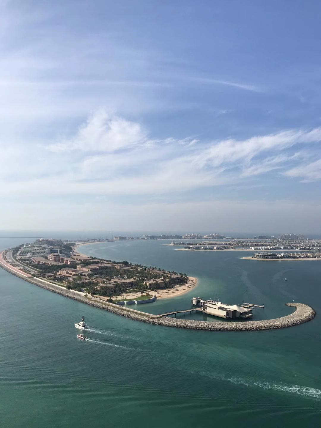 WhatsApp Image 2023-02-06 at 11.48.19 AM